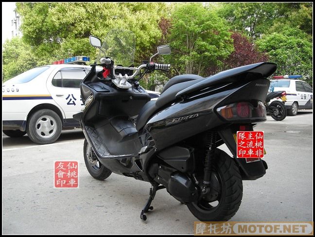 湖北仙桃16500元售极品03年FORZA250