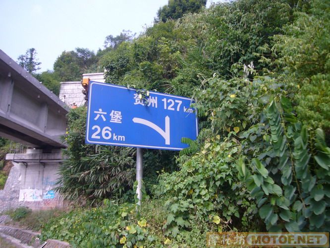 黄八仔