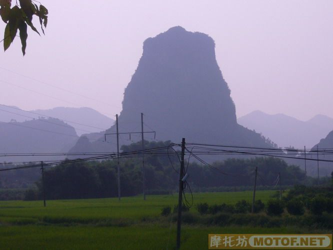 黄八仔