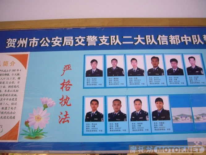 黄八仔