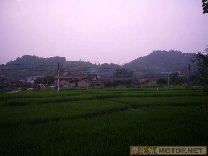 [em1003]