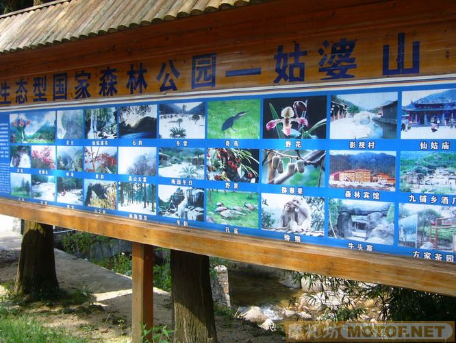 开心的姑婆山