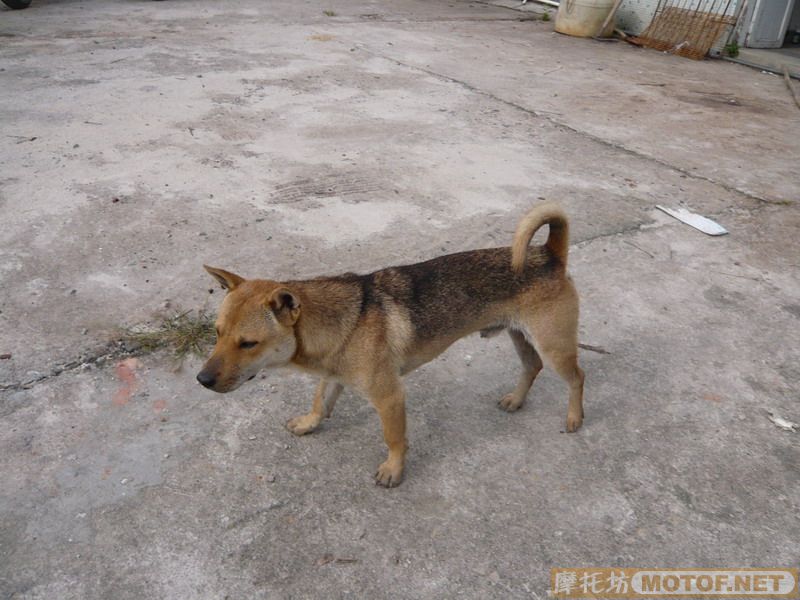 我也补发一些````