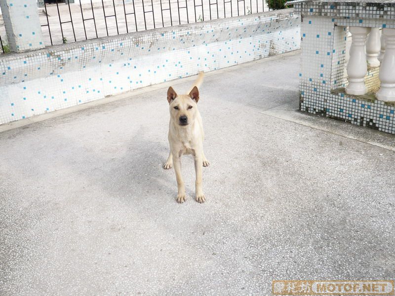 我也补发一些````