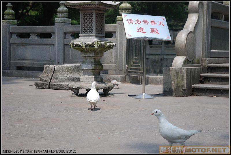 三人三车韶关南华寺“取经”之旅~~