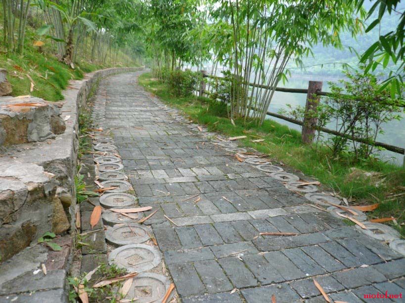 P1000331.JPG