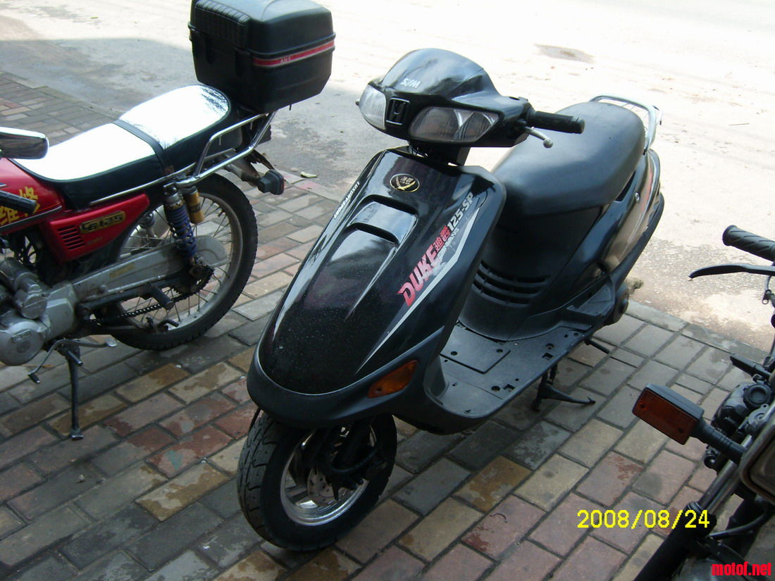 SL731387.JPG