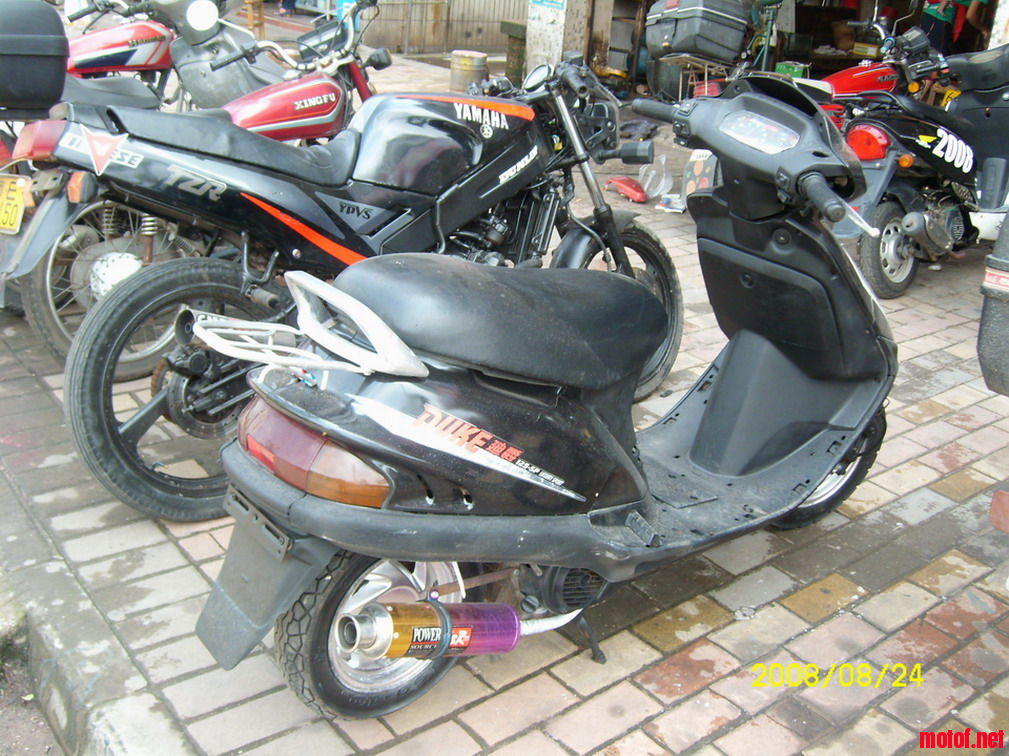 SL731388.JPG