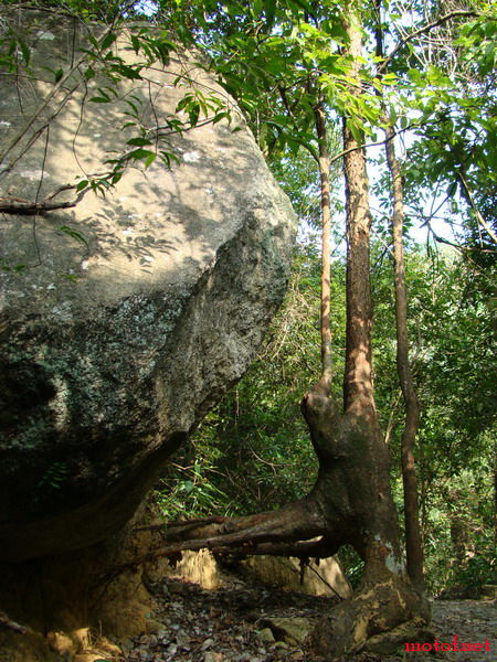DSC01480_缩小大小.JPG