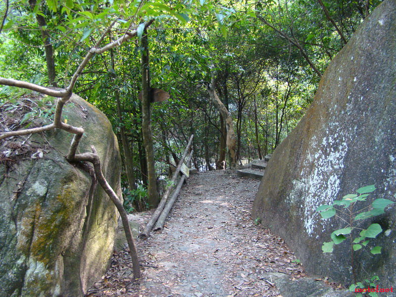 DSC01470_缩小大小.JPG