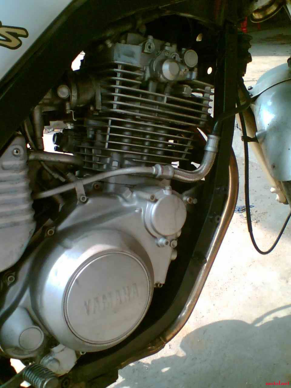 Image(054).jpg