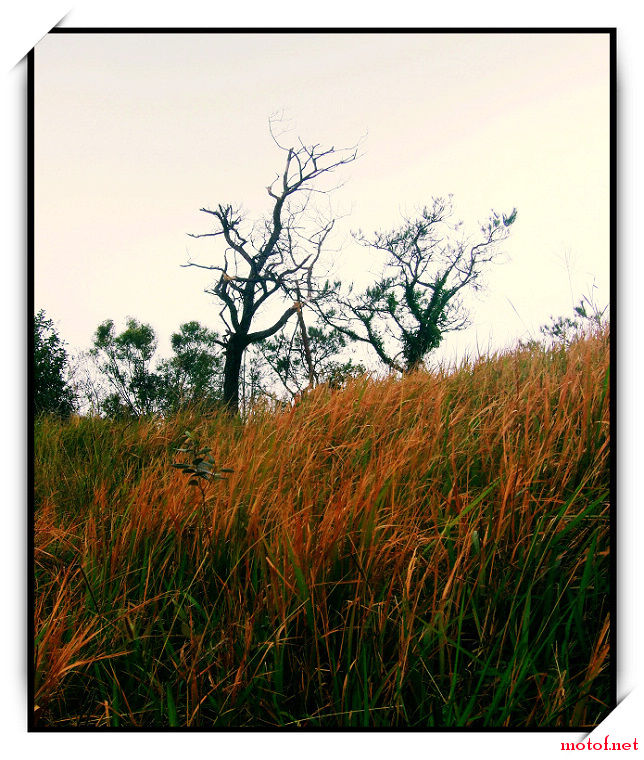 20081027_eb1aa942b550d40e4faahCxN2zuUxfz3.jpg