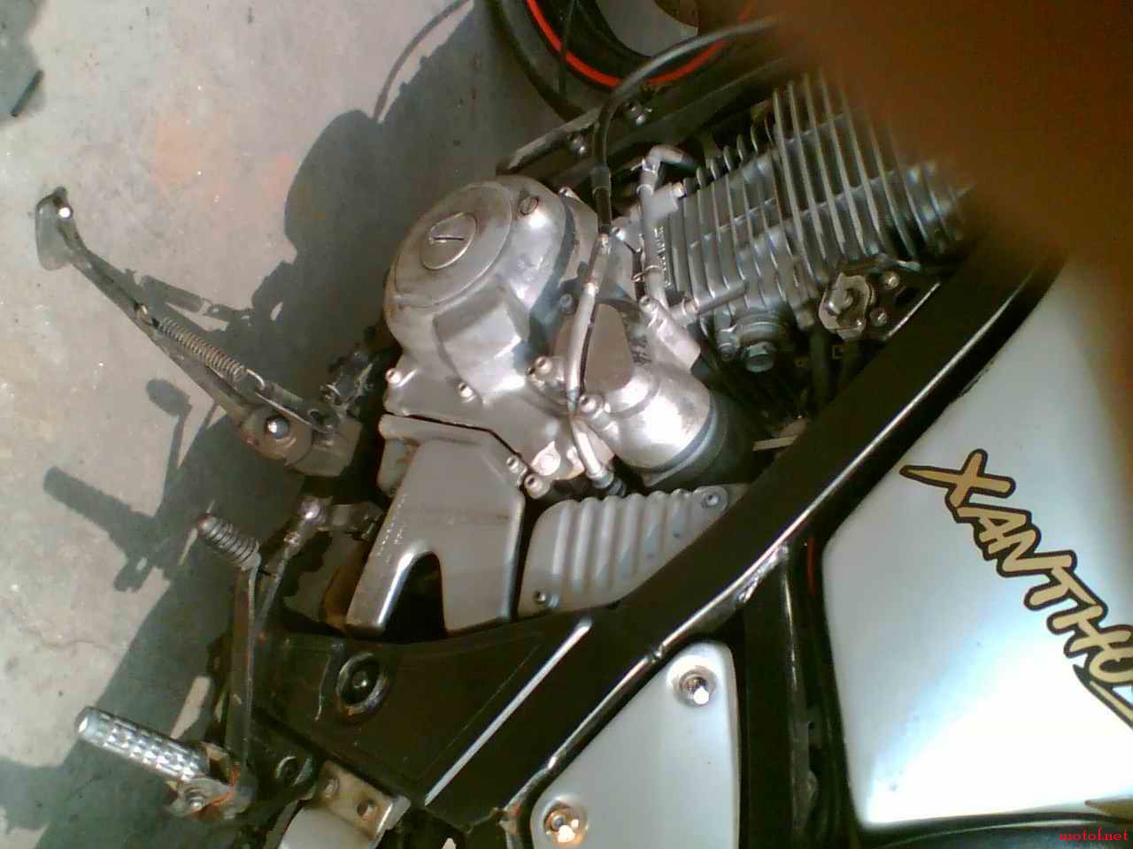 Image(055).jpg