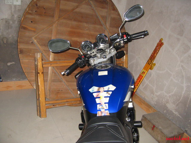 IMG_2384.JPG