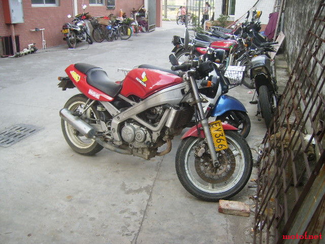 PA220268.JPG