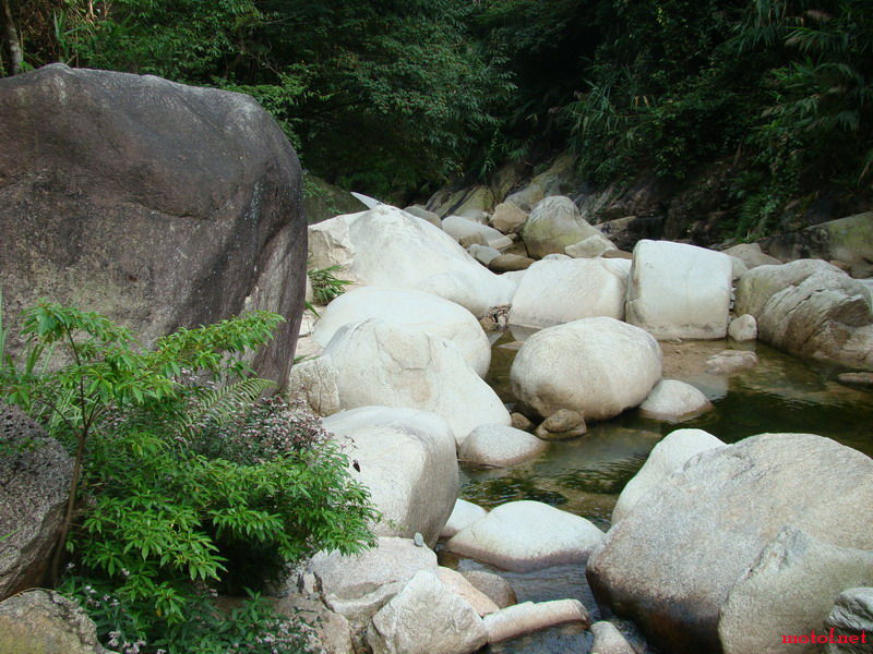 DSC01479_缩小大小.JPG