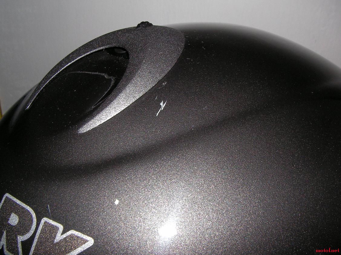 SHARK-7.JPG