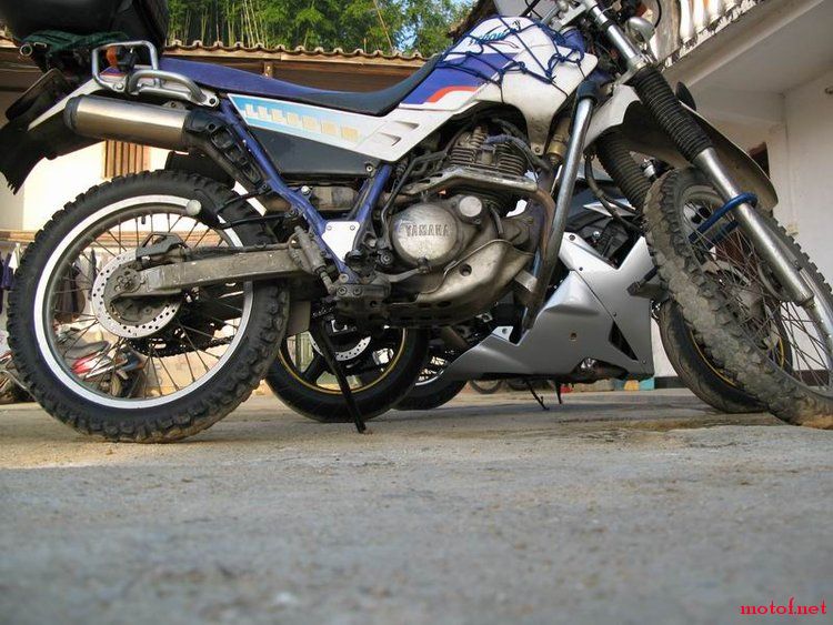 20081101_18082243dcd7b64790d5DYaBVQOIOpuy.jpg