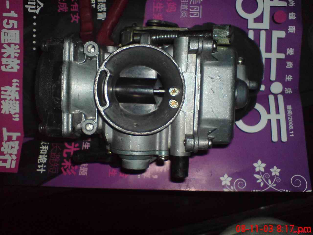 DSC01083.jpg