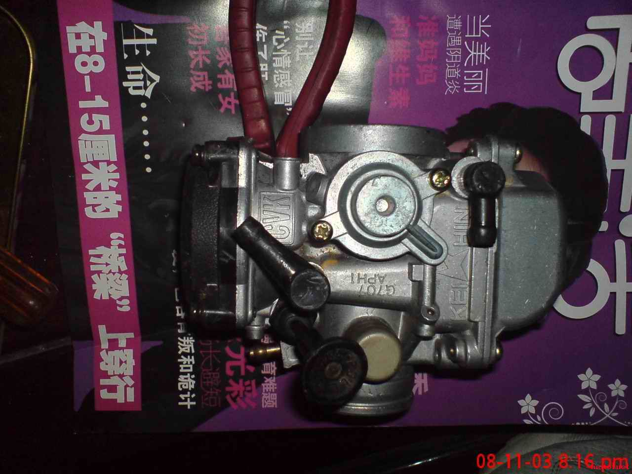 DSC01084.jpg