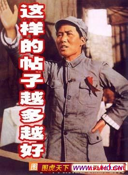 毛.jpg