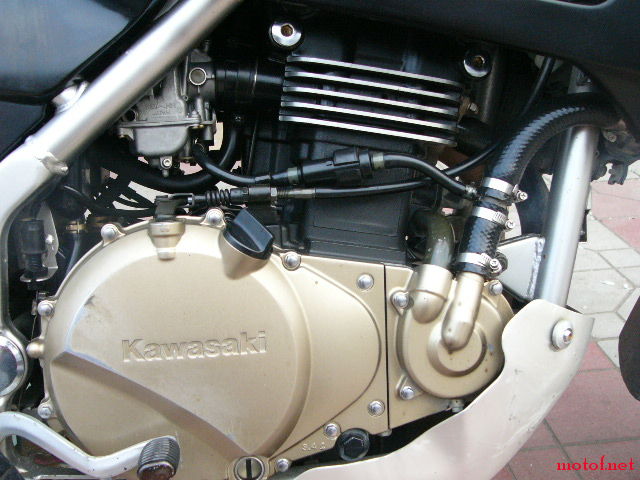 P1120167.JPG