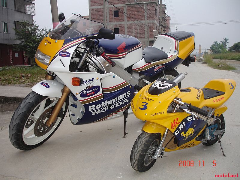 DSC04131.jpg