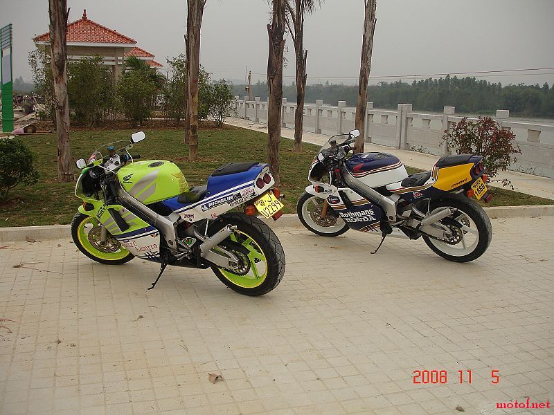 DSC04118.jpg