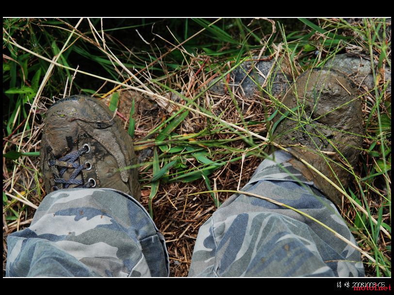 DSC_0055.jpg