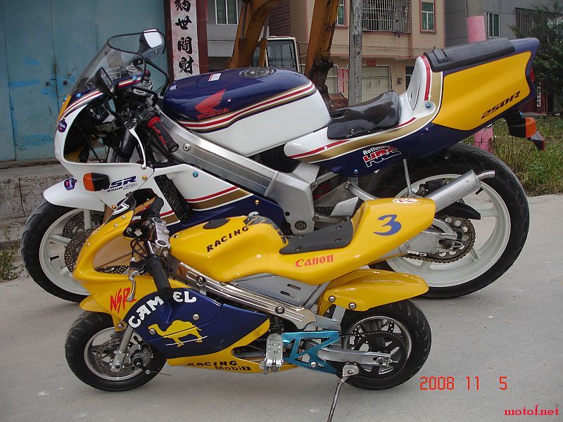 DSC04135.jpg