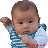 39867.gif