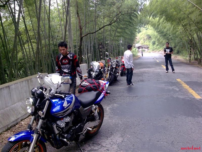 图像299 (Medium).jpg