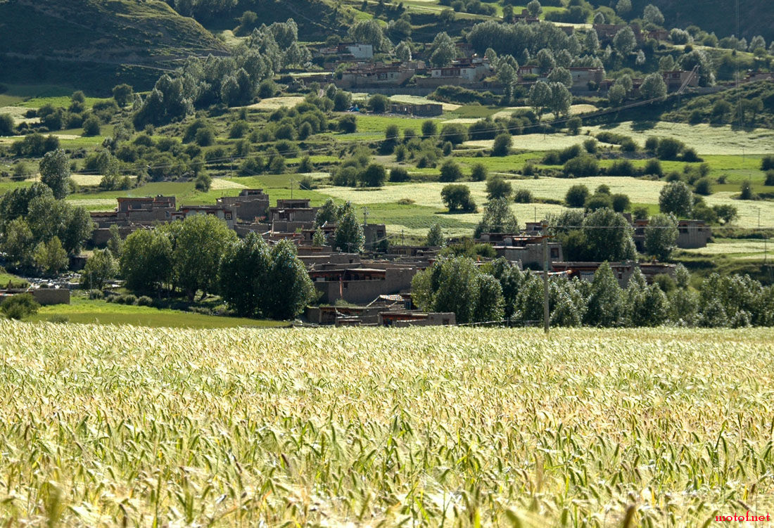 2006913159786464.jpg