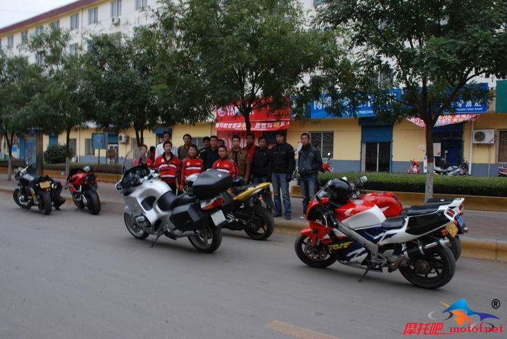 rvf7.jpg