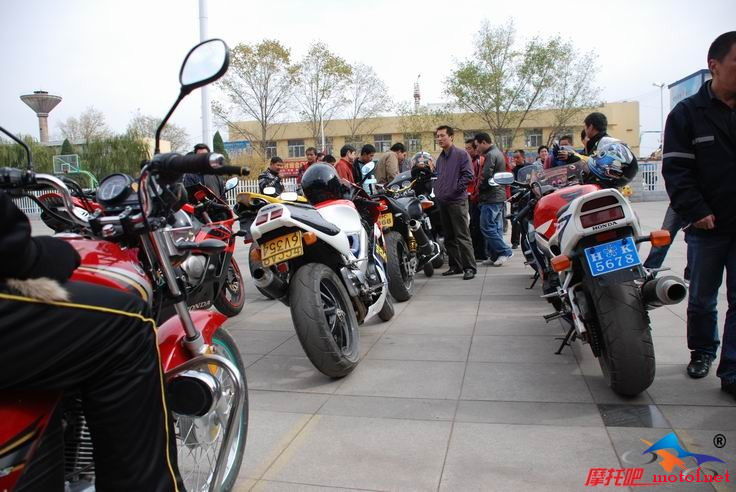RVF6.jpg