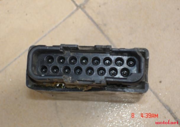 8748.jpg