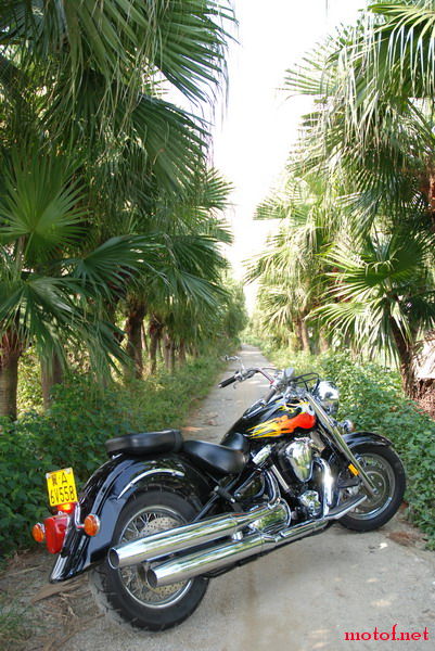 DSC_0027.JPG