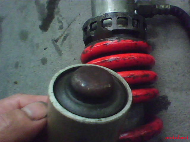 IMG0092A.jpg
