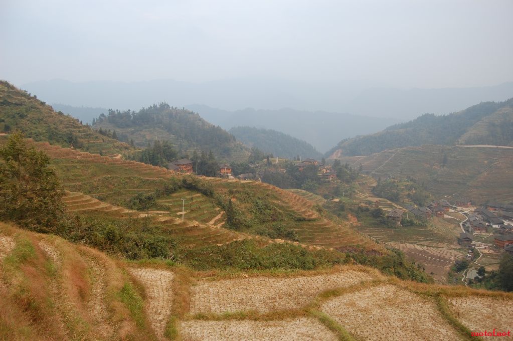 DSC_0877.JPG