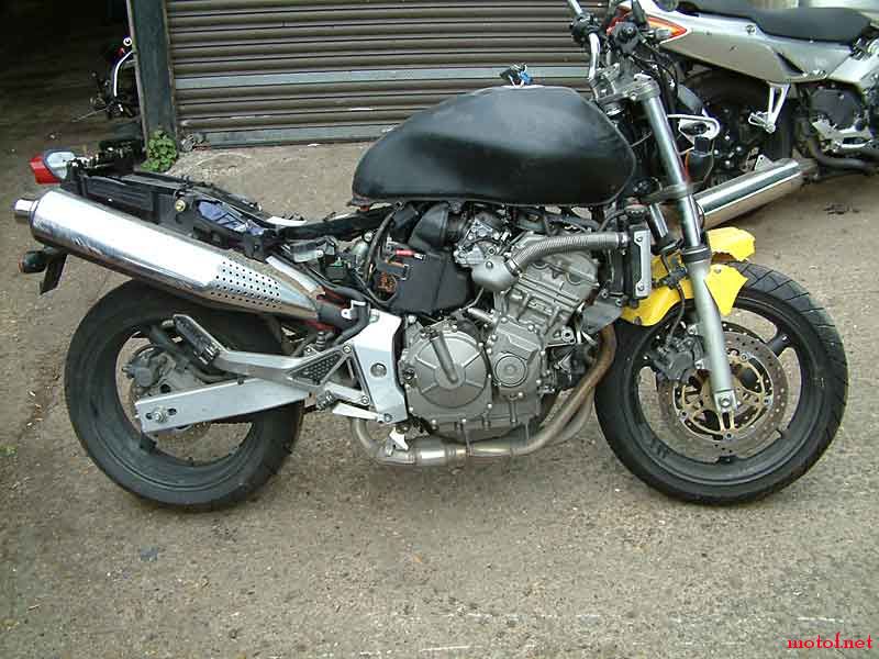 HORNET600.jpg