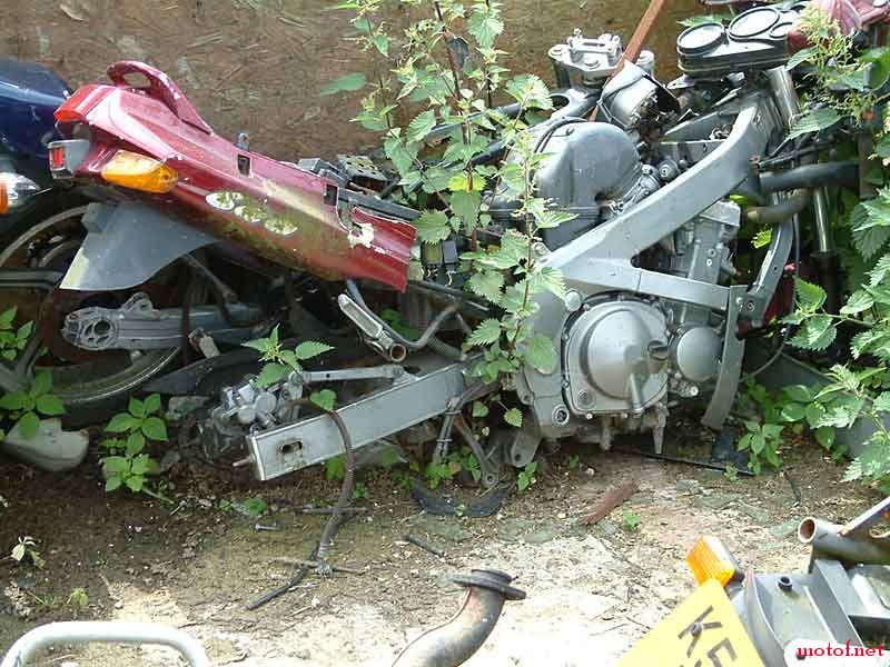 zzr600d.jpg