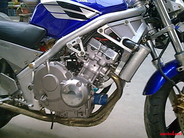 20081105_08760f03706363cb023dwsXF3q7JNDjj.jpg