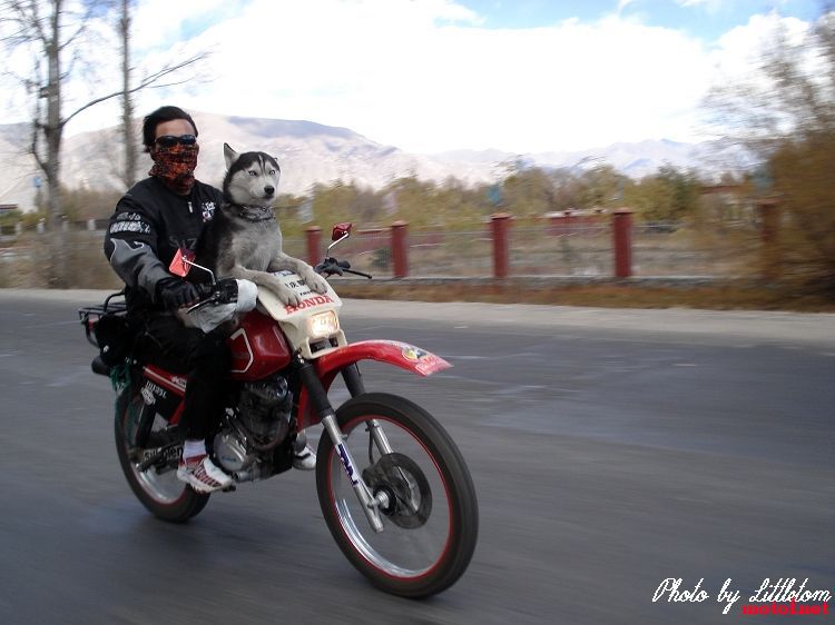 20081110_1497236a936df6951086MOiLuy1qrOwJ.jpg