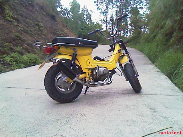 IMAG0012.jpg