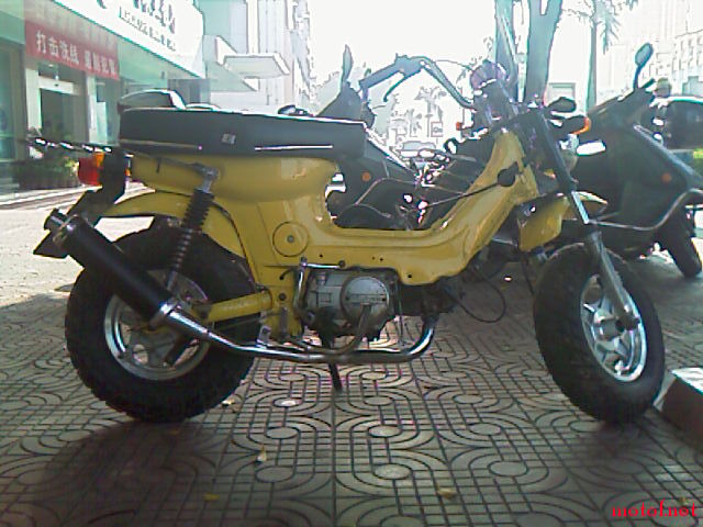 IMAG0006.jpg