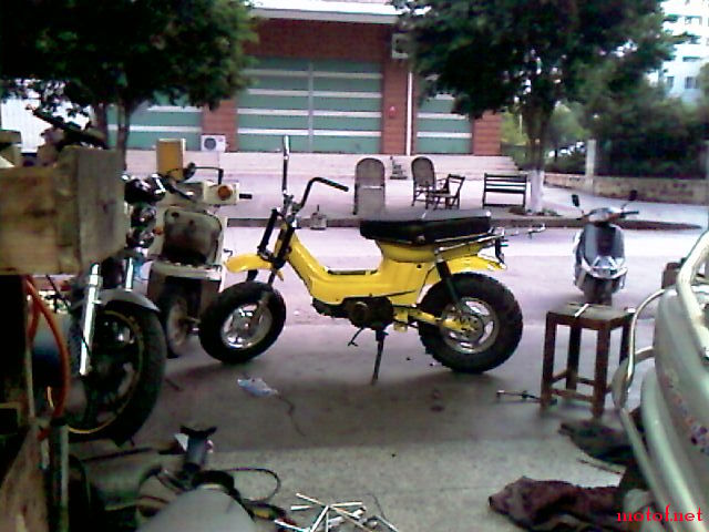 IMAG0103.jpg