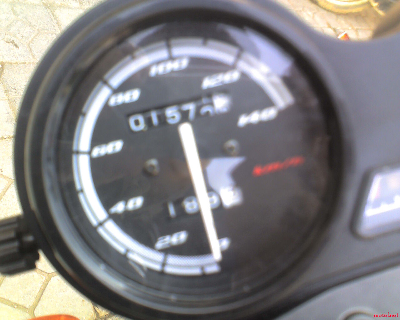 1111_145926.jpg