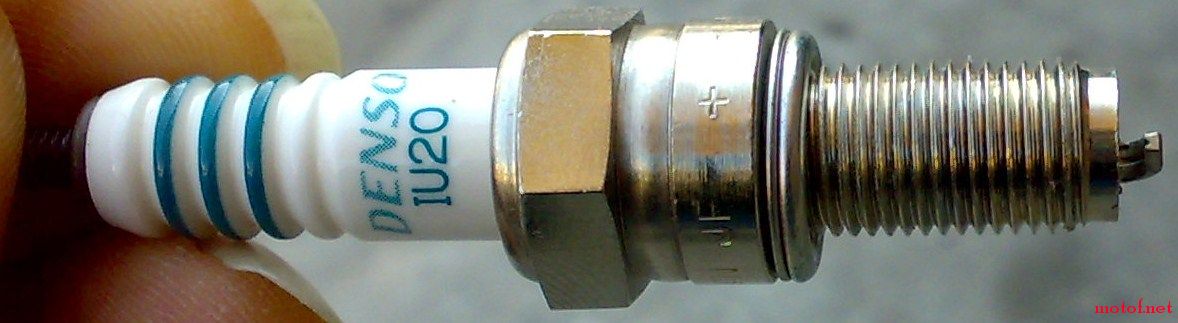 20081112282.jpg