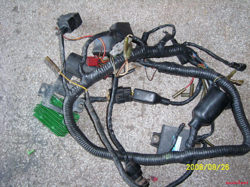 SL731556.JPG