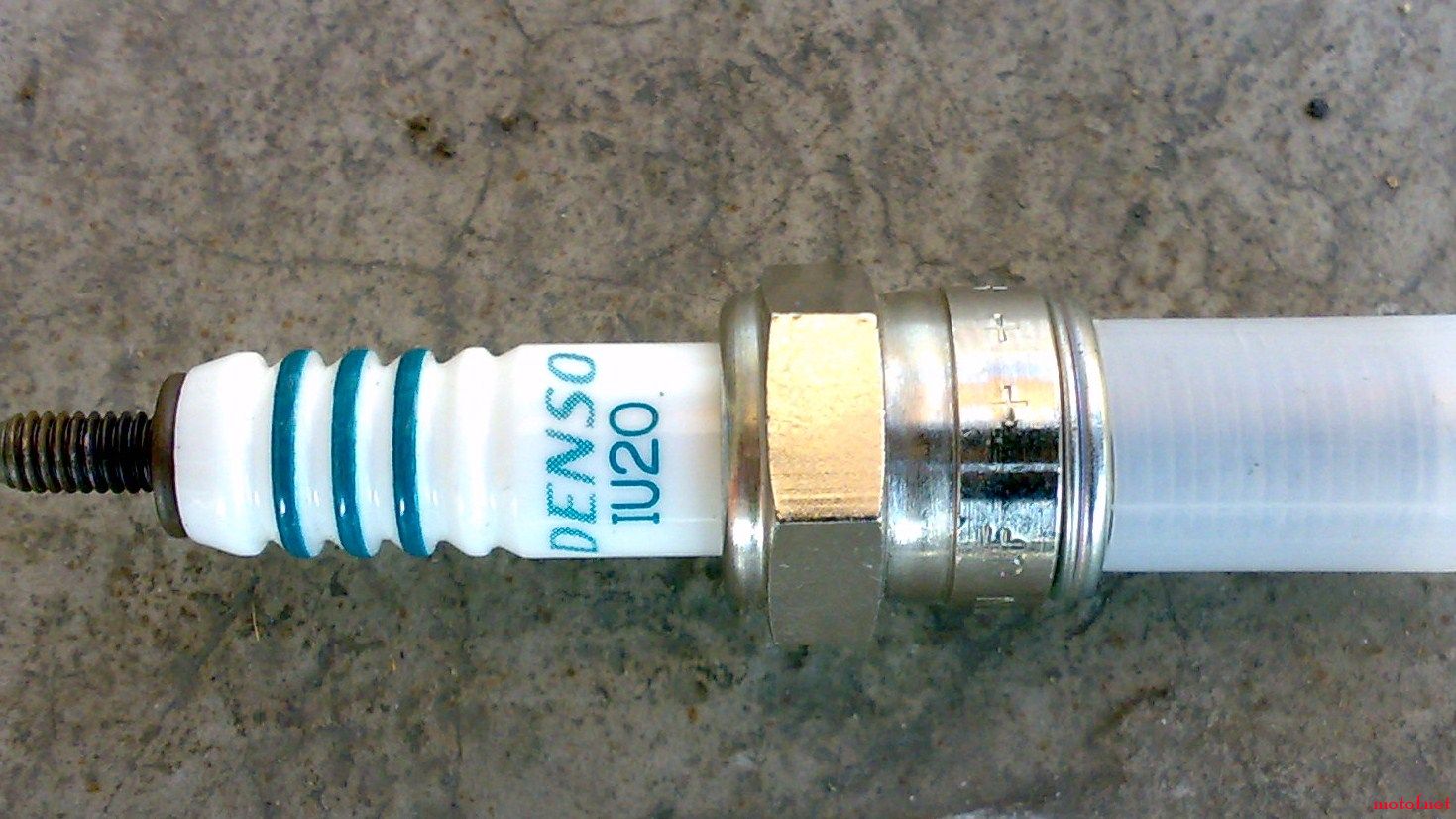 20081112278.jpg